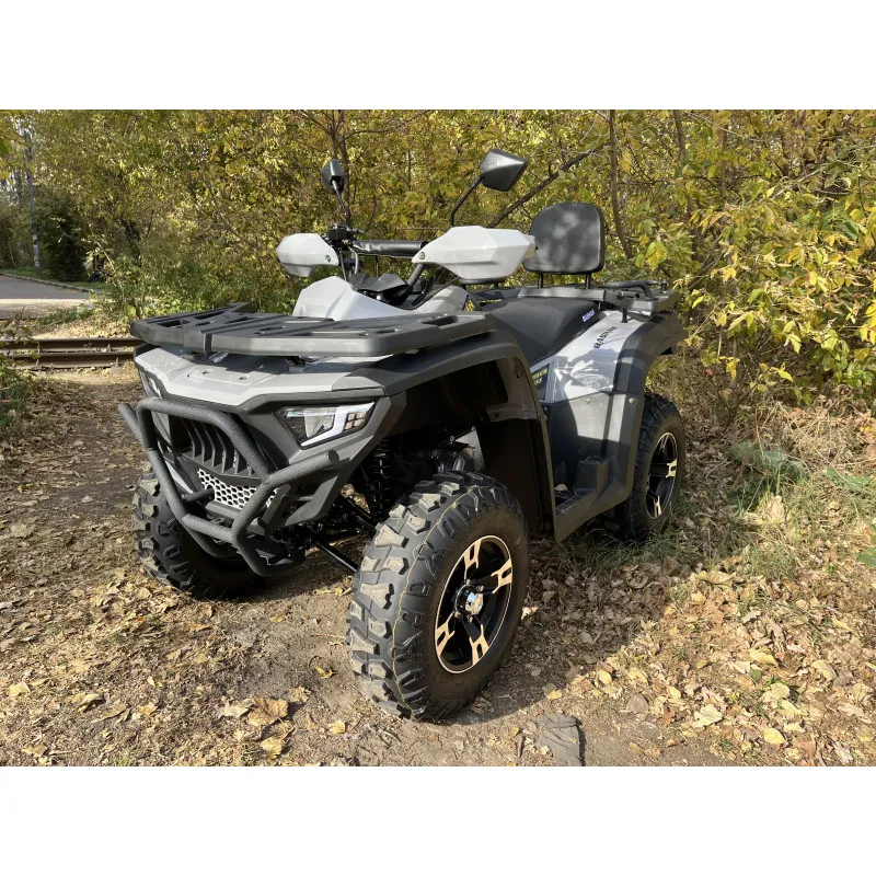 Квадроцикл BASHAN EXPLORER 300 EFI 4x2