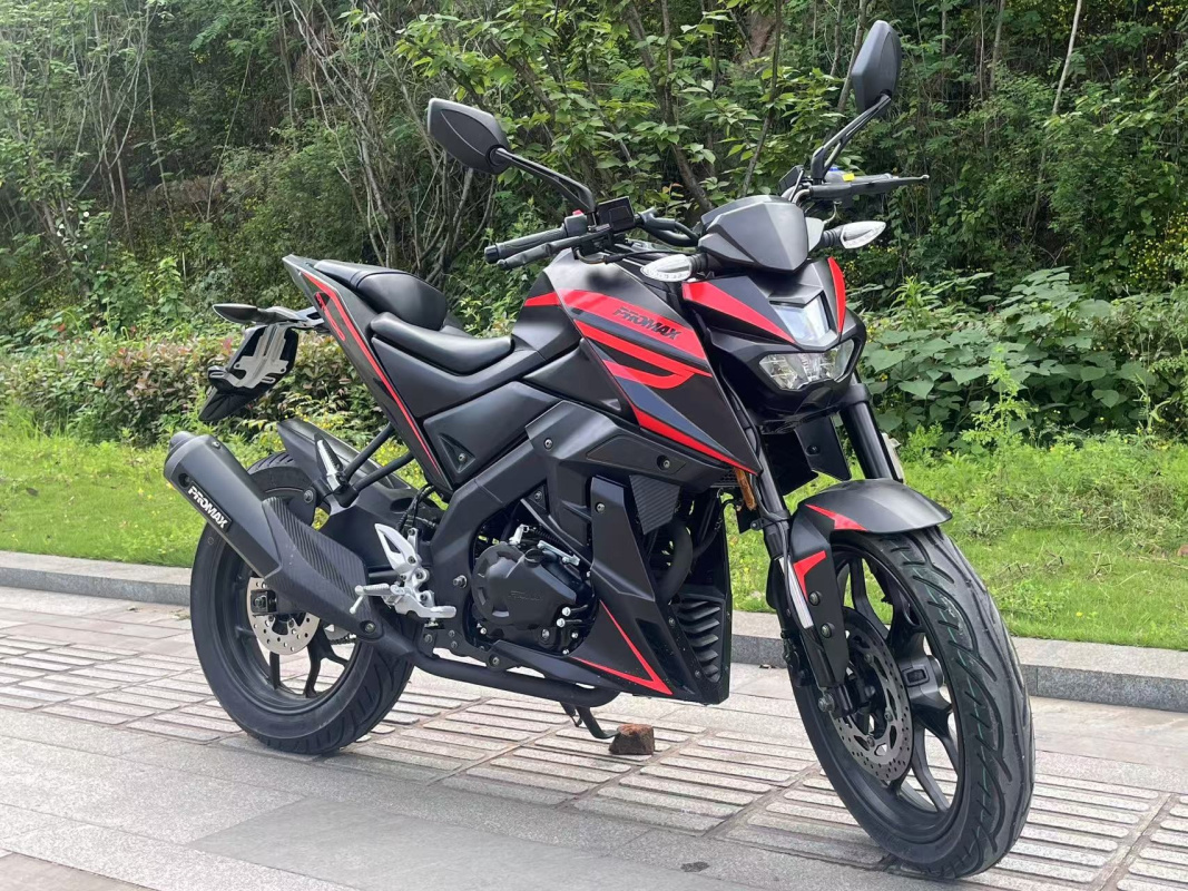 Мотоцикл PROMAX MT300